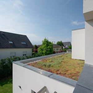 Construction à toit plat - balcon et toit végétalisé
